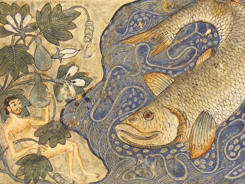 Illustration